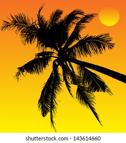 vector illustration of  palm tree