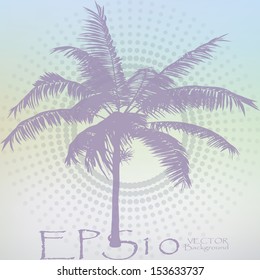 Vector illustration of the palm tree