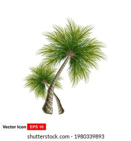 Vector illustration of the palm tree