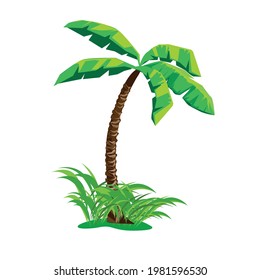 Vector illustration of a palm tree in cartoon style on a white background.