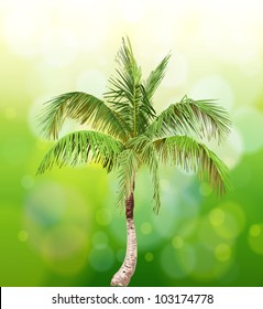 Vector illustration of the palm tree & green background / Eps10