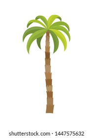 Vector illustration palm tree isolated on white background. Coconut tree. Palm tree. Tourism, travel symbol, sign.
