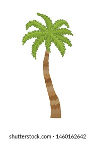 Vector illustration palm tree isolated on white background. Coconut tree. Palm tree. Tourism, travel symbol, sign.