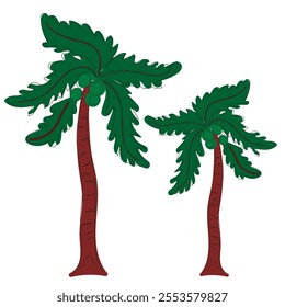 Vector illustration of a palm tree isolated on white background