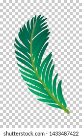 Vector illustration of palm tree leaf. Isolated on white background.