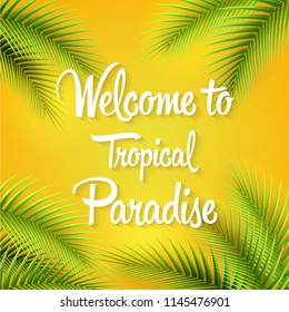 Vector illustration of Palm tree leaves on summer background