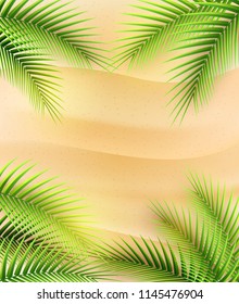Vector illustration of Palm tree leaves on summer background