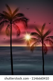 Vector illustration of Palm tree leaves on summer background. Palm tree silhouette