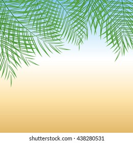 Vector illustration of palm tree leaves over summer background for your design