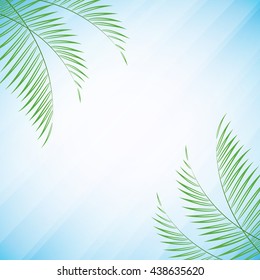 Vector illustration of palm tree leaves over light blue summer background for your design