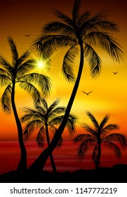 Vector illustration of Palm tree silhouette. Palm tree leaves on summer background