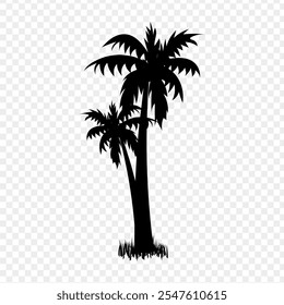 Vector illustration of Palm tree silhouette on transparent background