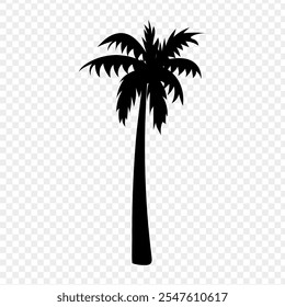 Vector illustration of Palm tree silhouette on transparent background