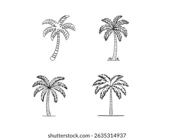 Ilustración vectorial de una palmera. Silueta de palmera. Palmera tropical. Conjunto de Vector de palmeras dibujadas a mano en contorno blanco y negro. Diseño tropical mínimo perfecto para el verano.