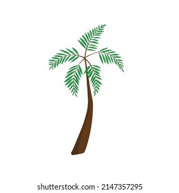 vector illustration palm tree tropical