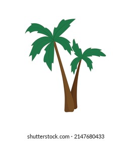 vector illustration palm tree tropical