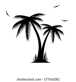 Vector illustration of palm trees .vector