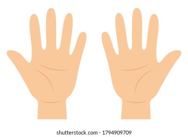 Vector illustration of palm (without main line)