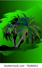 vector illustration of palms