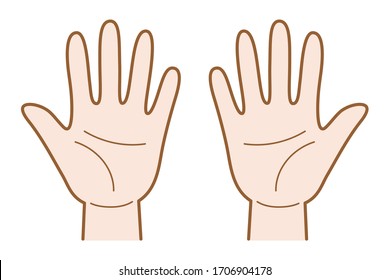 Vector illustration of palms of both hands.