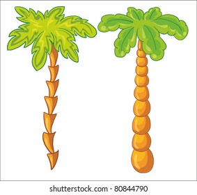 vector illustration - palm-tree