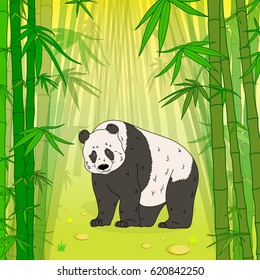 Vector illustration with panda bear.