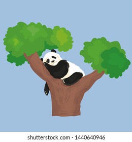 Vector illustration of panda sleeping in tree