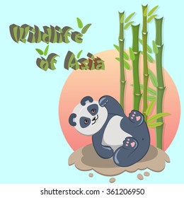 Vector illustration of a panda. Wildlife Asia.