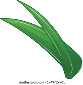 Vector Illustration of Pandan Leaves
