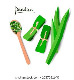 Vector illustration of pandan leaves, shredded pandan spices in wooden spoon and wrapped leaves