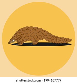 Vector illustration of pangolin. Pangolins are mammals of the order Pholidota.