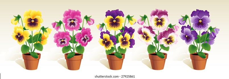 Vector illustration - Pansies in a terracotta pots