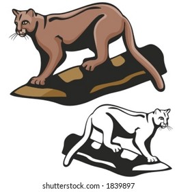 Vector illustration of a panther.