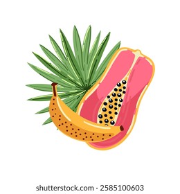 Vector illustration with papaya, banana and palm leaf. Tropical summer vibes art