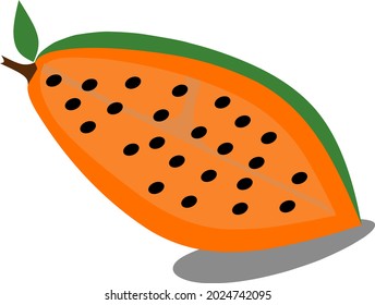 la ilustración vectorial de la fruta papaya puede utilizarse para diversas necesidades