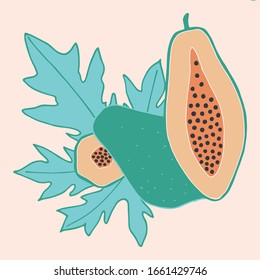 Ilustración vectorial con fruta de papaya. Patrón verde y naranja. Imagen para telas imprimiendo en papel, tapas, tarjetas.
