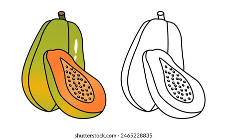 Ilustración vectorial de fruta de papaya con líneas y colores, para libros para colorear para niños