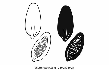 Vector illustration of papaya fruit in outline and silhouette styles. Perfect for food, agriculture, tropical fruit, nutrition, and botanical-themed designs
