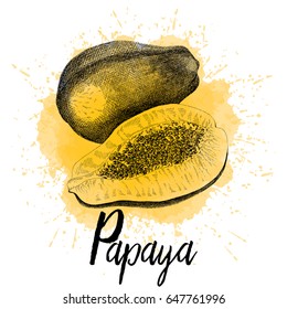 Vector illustration of papaya in hand drawn graphics. A tropical fruit is depicted on a yellow watercolor background. Design for juice packaging or restaurant menu