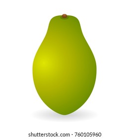 Vector illustration of papaya isolated on white background