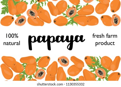 vector illustration of papaya and leaf design with lettering papaya background white and fruit and text fresh farm product 100% natural EPS10