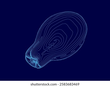 Vector illustration of papaya outline made of blue lines isolated on dark background.