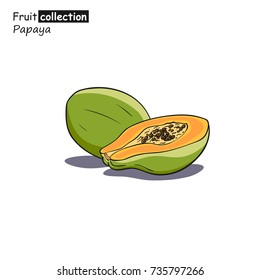 Vector illustration of papaya in sketch style.