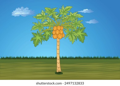 Vector illustration of a Papaya Tree in a green field with a clear blue sky
