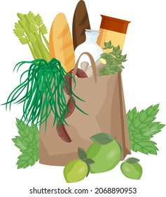 vector illustration paper bag with groceries and food from the store