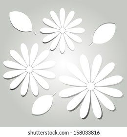 Vector  illustration of paper flowers 