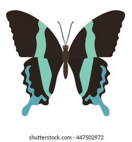 Vector illustration of papilio blumei butterfly