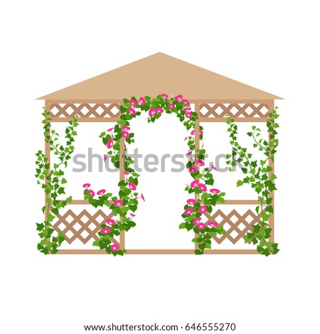 Vector illustration of park and garden pavilion with climbing flowers in flat style, isolated on white background. Vertical gardening sign. Outdoor decor element.