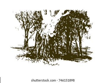 vector illustration of a park with an old tree