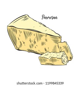 Vector illustration of Parmesan cheese drawing. Hand drawn food sketch in engraving style showing triangle slice and cube cut. Dairy farm market product for label, poster, icon or packaging.